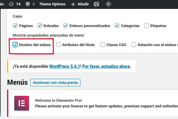Screen Options panel in Spanish with the Destino del enlace (Link Target) checkbox highlighted.